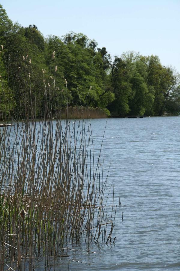 Lake View Apartamenty Brodnica  Eksteriør bilde